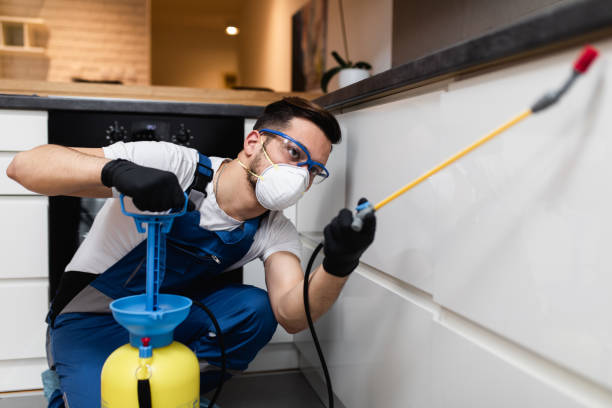 Reliable Clarks Summit, PA Pest Control Solutions