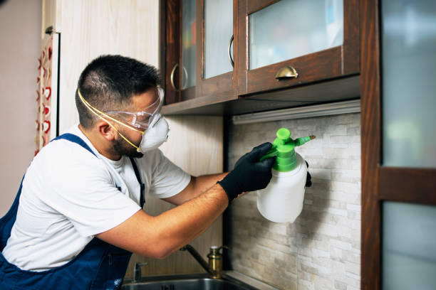 Best Affordable Pest Control Services  in Clarks Summit, PA