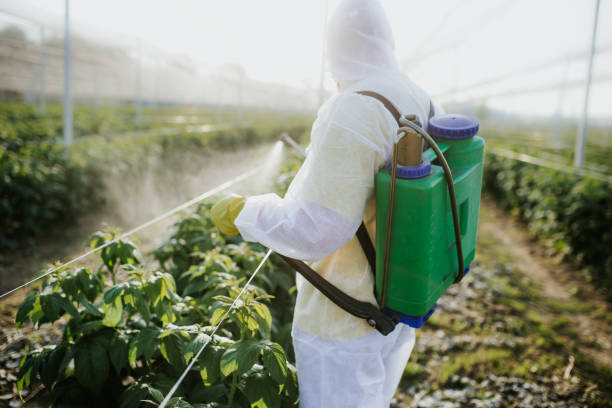 Best Pest Prevention Services  in Clarks Summit, PA